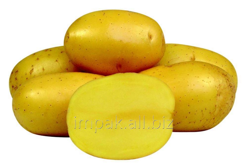 Где Купить Сортовой Картофель