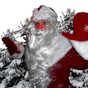 Дед Мороз и Снегурочка круглый год фотография