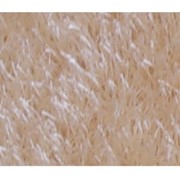 Коврик для пола Prizma ROMANZA 70*110 см антиаллергический фотография