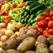 Продукты сельскохозяйственные фото