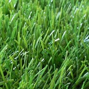 Искусственная трава, фибрилированная 22мм фото