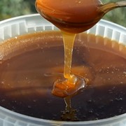 Мёд гречишный фото