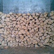 Firewood for heating of oak фото