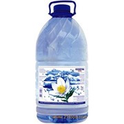 Питьевая вода из горного источника - Горный цветок