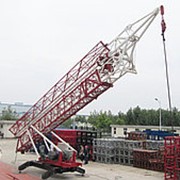 Кран башенный быстромонтируемый QTK25 фото