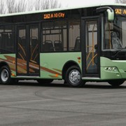 Автобусы ZAZ A10