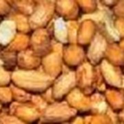 Арахис, кешью, миндаль, бразильский орех. Сырье для пищевой промышленности. фото