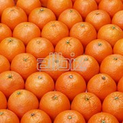 Апельсины Турция фотография