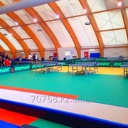 Клуб настольного тенниса “Astana“ фото