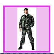 Товары для спорта, отдыха и туризма. Куртка М65 мужская.Куртка мужская для отдыха, военнослужащих, охранников.. фото