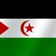 Флаг национальный Сахарская Арабская демократическая республика фото
