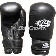 Перчатки боксерские Petra PS-799B фотография