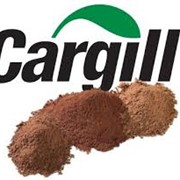 Какао-порошок алкализованный CARGILL DB-82 фото