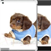 Чехол на iPad 2/3/4 Коричневый щенок на белом фоне 141c-25 фотография