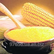Крупа кукурузная фото