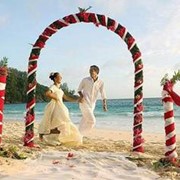 Свадебные туры на Сейшелы фотография