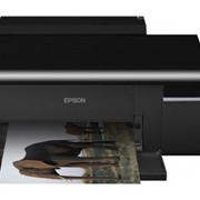 Принтер широкоформатный epson L800 фотография