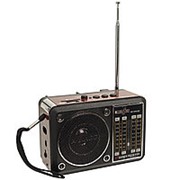 Радиоприемник RedSun RS-203 (microSD/USB/FM/AUX) фото