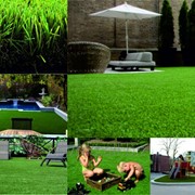 Искусственные газоны-искусственная трава фото