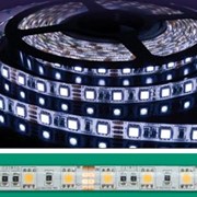 Гибкая супер-яркая влагозащищенная монохромная SMD-светодиодная лента QuaLED (КНР) фото