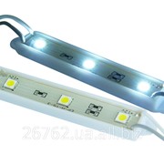 Модуль светодиодный LED M5050-3W(W) фото