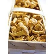 Плетеные корзинки для грибов фото