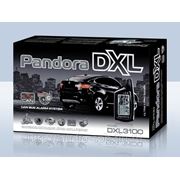 Сигнализация Pandora DXL 3100 can фото