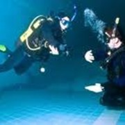 Обучение дайвингу: Курс PADI Open Water Diver (4-5 дней / 5 погружений в бассейне, теория, 4 погружения в открытой воде, трансферы, аренда снаряжения) фото
