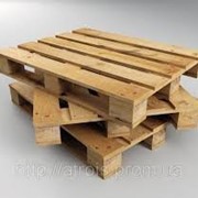 Поддоны облегченные Сумы, Киев фото