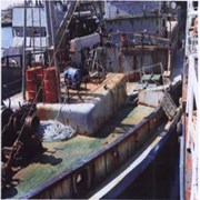 Рефрижераторное судно «Корум» фото