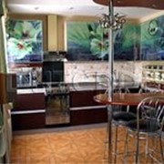 Кухня с фотофасадом (светло-зеленые цветы) фото