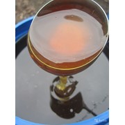 Мёд Дягилевый фото