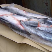 Продажа замороженной рыбы и морепродуктов