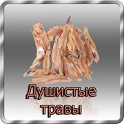 Тушка бычка солено-сушеная без шкуры с вкусом «Душистые травы», весовая фото