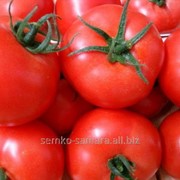 Семена томатов Акдениз F1