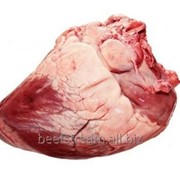 Сердце говяжье фото