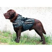 Бронежилет пулезащитный кинологический для защиты служебной собаки “НОРД-1-С“ фото