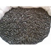 Подсолнух кондитерский