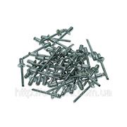 Заклепки 4,8х19 мм (50 шт.) фото