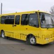 Транспорт - Автобусы