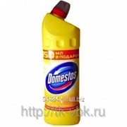 Чистящее средство Domestos 500 мл фотография
