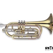 Маршевый тромбон Stagg 88-MTB фото