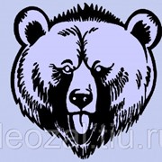 Наклейка виниловая Медведь фото