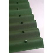 Ондулин с гвоздями в комплекте, цвет - зеленый фото