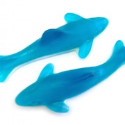 Голубые дельфины фотография