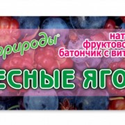 Фруктово-ягодный батончик Лесные ягоды с витамином С фото
