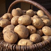 Деревенский картофель фото