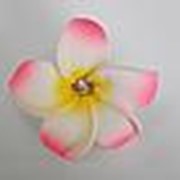 Ц4 Цветок гавайский 4см фотография