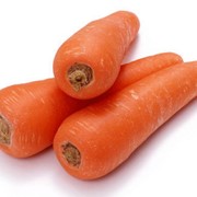 Морковь свежая, Выращивание и продажа плодоовощных культур: морковь, помидоры, кабачки. Также, саженцы яблонь. фото