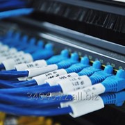 Услуга построение структурированной кабельной сети СКС/SCN фото